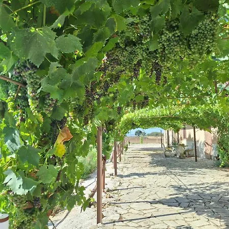 Apartamento La Foresteria Di Podere Muracciolo Toscânia