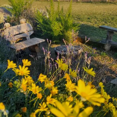 Apartamento La Foresteria Di Podere Muracciolo