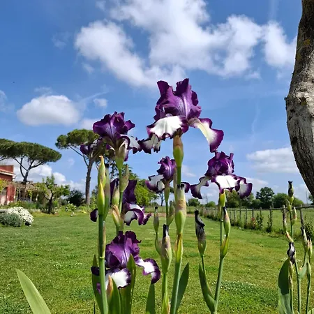 La Foresteria Di Podere Muracciolo Tuscania